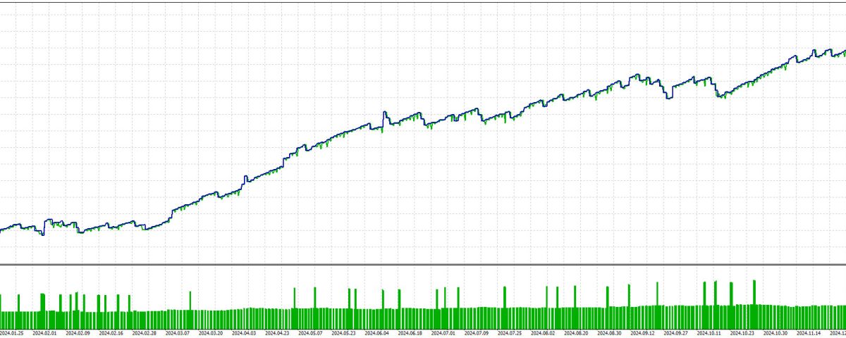 Perfect Days Test 3 año 2024