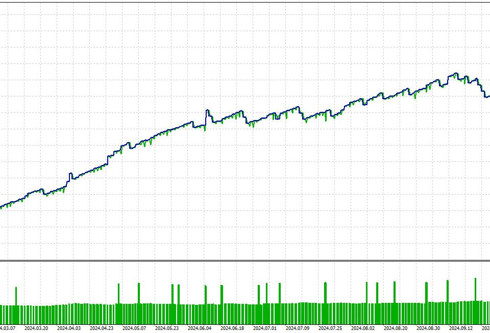 Perfect Days Test 3 año 2024